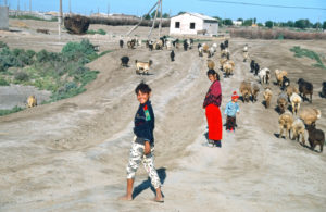 Village community in the Aralkum