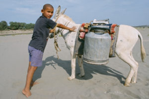 There was no drinking water system. The water was fetched from the river by donkeys every day.